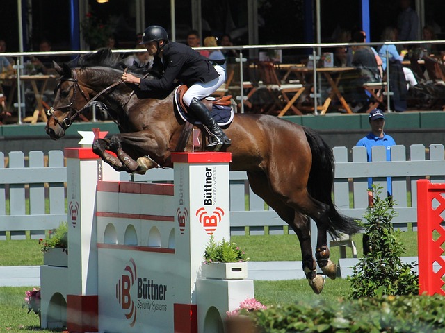 他在近期的 他在近期的