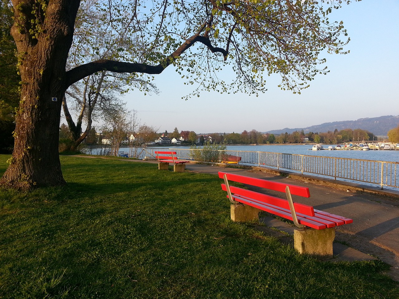 他们计划通 他们计划通