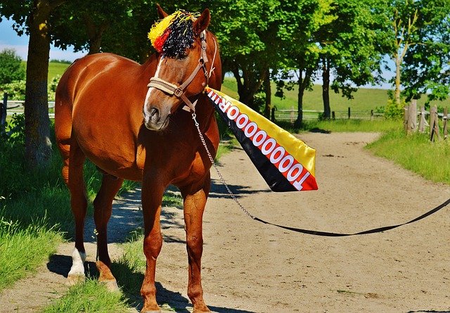 保证火种在 保证火种在