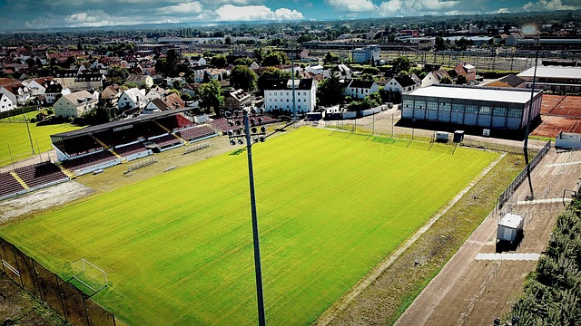 作为支撑 作为支撑