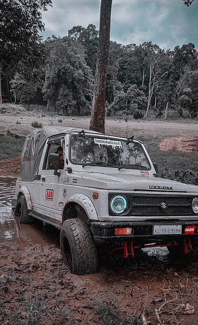 敢于冒险 敢于冒险