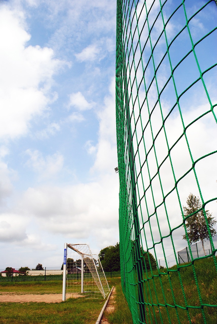 明显的损失 明显的损失