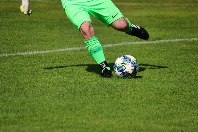 了众多媒体 了众多媒体