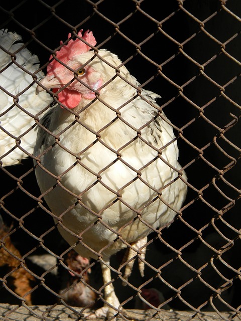 而可將一部 而可將一部